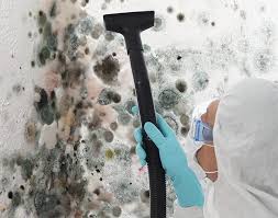 Best Mold Documentation for Insurance Claims  in West Odessa, TX